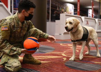 Spc. Dylan Messina from Albany, N.Y., assigned to the New York Army National Guard, plays with Dakota, a Labrador retriever service dog provided by Puppies Behind Bars, in New York City, April 21, 2020. Photo by Senior Airman Sean Madden